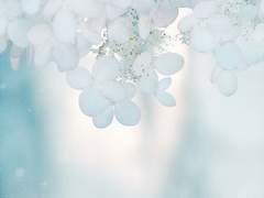 주설현 XX 23 월야