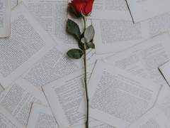 [문스독/썰] 6.~11.