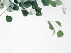 [유쥬/유세쥬다] 애인이 너무 안 웃어서 괴로워...