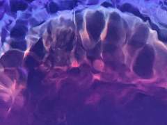 끝끝내 살아갈 우리들에게