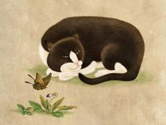 고양이, 나비 그리고 제비꽃