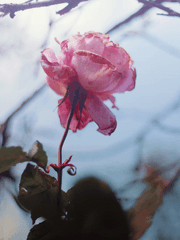 나를 웃게 해줘요