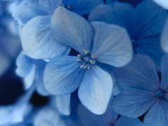 차분한 바다향이 배어있는 편지 봉투