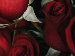 뭘 봐? 쓸데없는 거에 신경 끄고 가서 일이나 해!