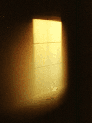 상수리나무 아래