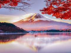 초야(草野)_28_男_망매파