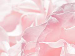 흐르는 색들은 이내 사랑을 그려본다.