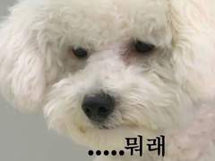 [백현 빙의글] 국대남신 우리오빠 3편