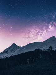 개인 번역 백업