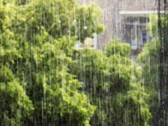 [금영영인] 유리창과 천장 사이