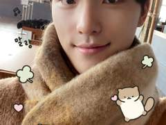 찬랑하게_빛나는_디노생일