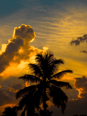 단편선 - 조각글