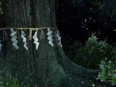 결국 이렇게 날 떨어뜨리는구나.