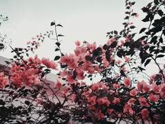 Я люблю тебя.