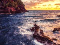 오늘 하루도 살아남으셨네요.