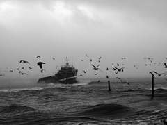 생의 무게를 건너가야 하리*