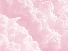 미안해, 눈치가 없어서.