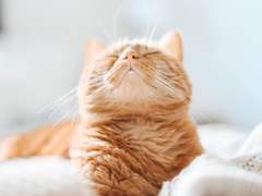 [민뷔] 막내야 06