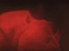 영원할 나의 파도에게