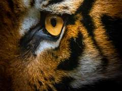 [쿱정 다각] 黎明:여명 03