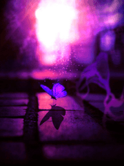 BEATRICE:비아트리스_Hubert Bliss