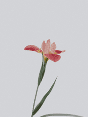 소중한 사람을 위한