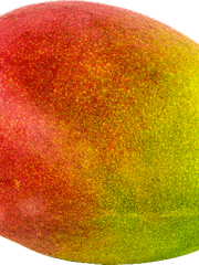 망고커 로그 모음