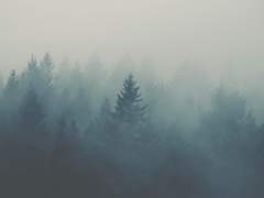 18화: 여덟 번째 꿈 <죽음이 부르는 이름> (1)