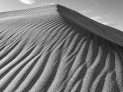 20화: 아홉 번째 꿈 <길이 없는 사막> (1)