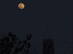 월귀(月鬼)- 8화