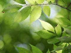 따스한 바람 푸르른 하늘