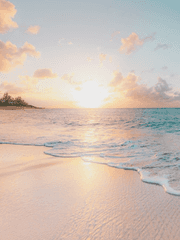 여명채아 메이드x아가씨 후레모음