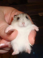 온더훅 단편 시리즈