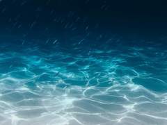 To. 메리엘 록시