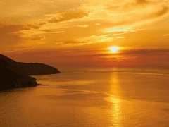 또바기 그린내 6