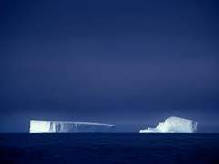 까뜨린느는 살아있다