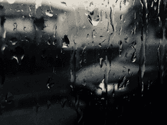 자캐 프로필들 모음