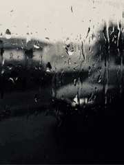 삼초님 어깨동무해