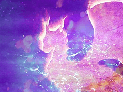 Ama et fac quod vis.