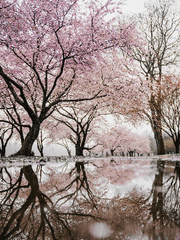 [화산귀환] 커플링 시리즈