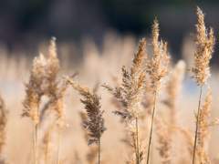 공개 프로필: 마태범/52