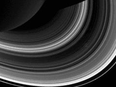 <계몽인가 컬트인가> - 모차르트와 살리에리 단편