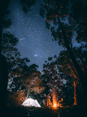 [파워디지몬/제로투] 우리들의 여름날