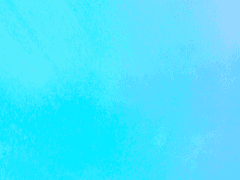 ... 언제는 바보라 했다가, 또 언제는 거짓말쟁이래.