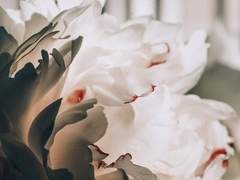 [벤틀리 웨더퍼드/슬리데린]