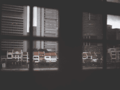 과거의 편린과 나아가는 여인