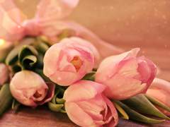 Ich schwöre, Ich werde nur dich lieben.