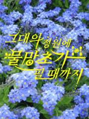 그대의 정원에 물망초가 필 때까지