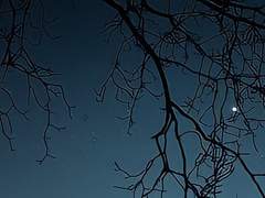 [공개 프로필: 윤태림/19]