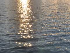 나비와 수몰지구